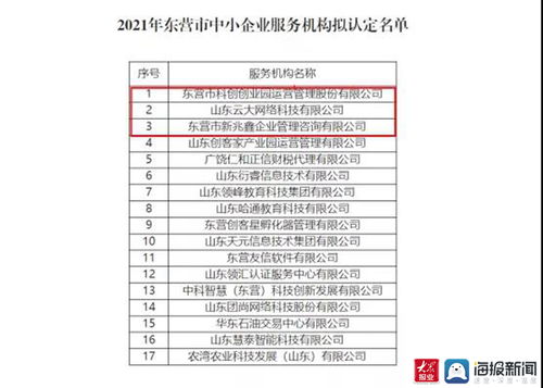 東營(yíng)高新區(qū)再添新翼 三家市級(jí)中小企業(yè)服務(wù)機(jī)構(gòu)獲認(rèn)定，聚焦計(jì)算機(jī)軟硬件開(kāi)發(fā)與銷(xiāo)售